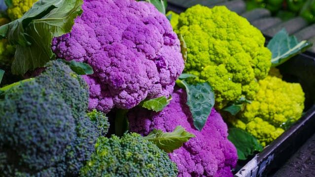 фермерски пазари - 99459 отстъпки | agrovest.bg фермерски пазари - 2449 отстъпки