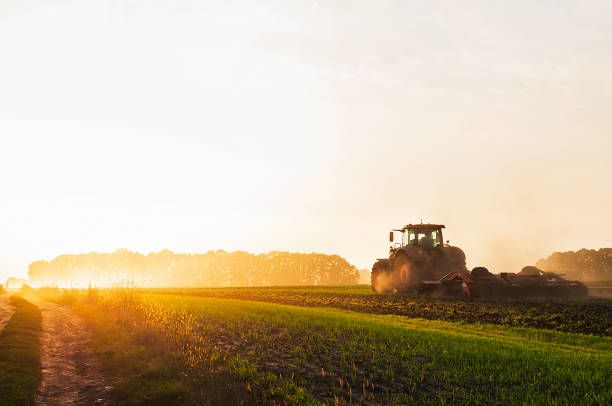ДФЗ - 79218 клиенти | agrovest.bg ДФЗ - 39772 клиенти