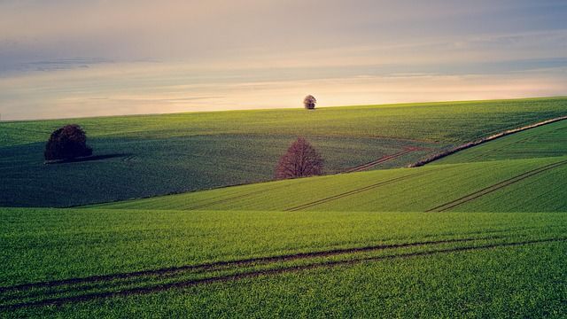 земеделие - 79765 постижения | agrovest.bg земеделие - 88325 постижения